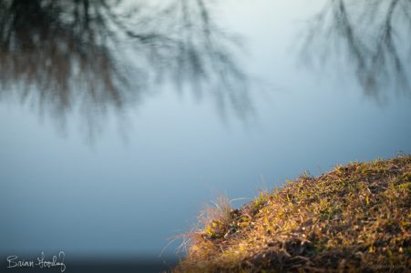 autumn and winter - lengthening stay (neurochemical trajectories)