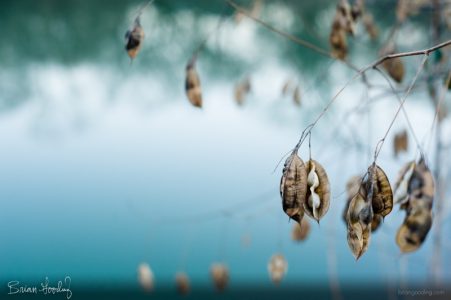 autumn and winter - new thoughts