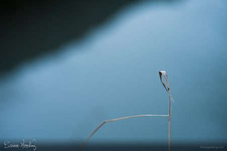 autumn and winter - a series of months