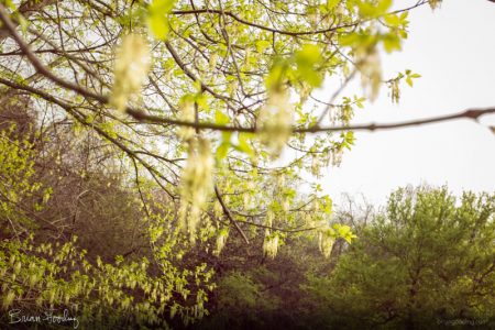 autumn and winter - solitary hobbies