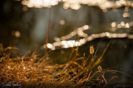 autumn and winter - withdrawal along the edges