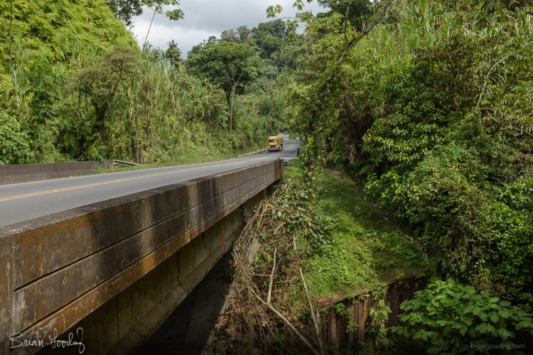 Costa Rica in situ - outnumbered