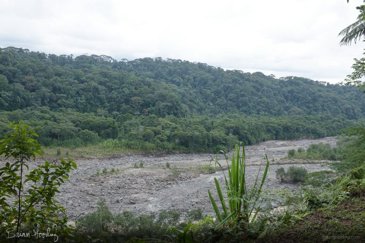 Costa Rica in situ - Parque Nacional Braulio Carrillio